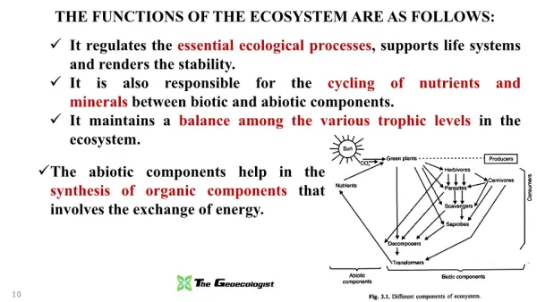 Simplified Environmental Geography