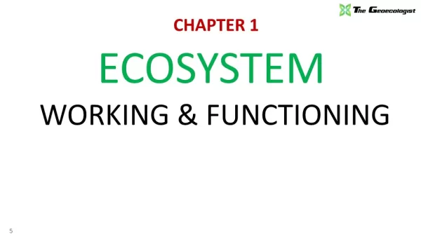 Simplified Environmental Geography