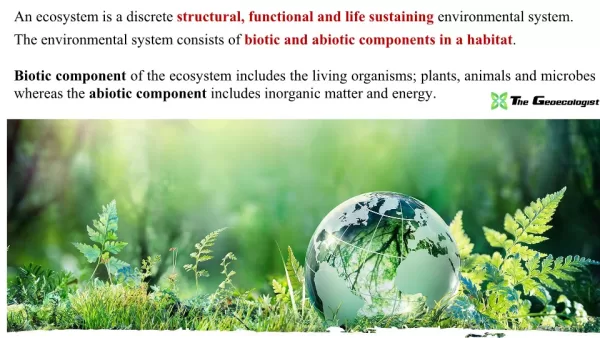 Simplified Environmental Geography