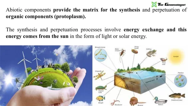 Simplified Environmental Geography