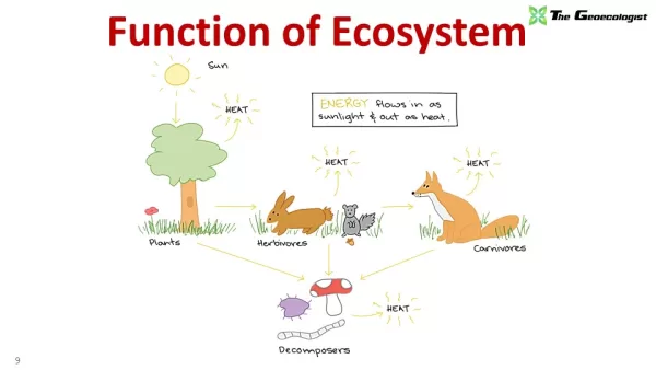 Simplified Environmental Geography