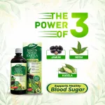 Health Care : Ayurvedic Juice: Blood Sugar & Digestion. - Image 2