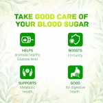 Health Care : Ayurvedic Juice: Blood Sugar & Digestion. - Image 3