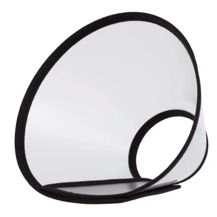 best dog cone collar