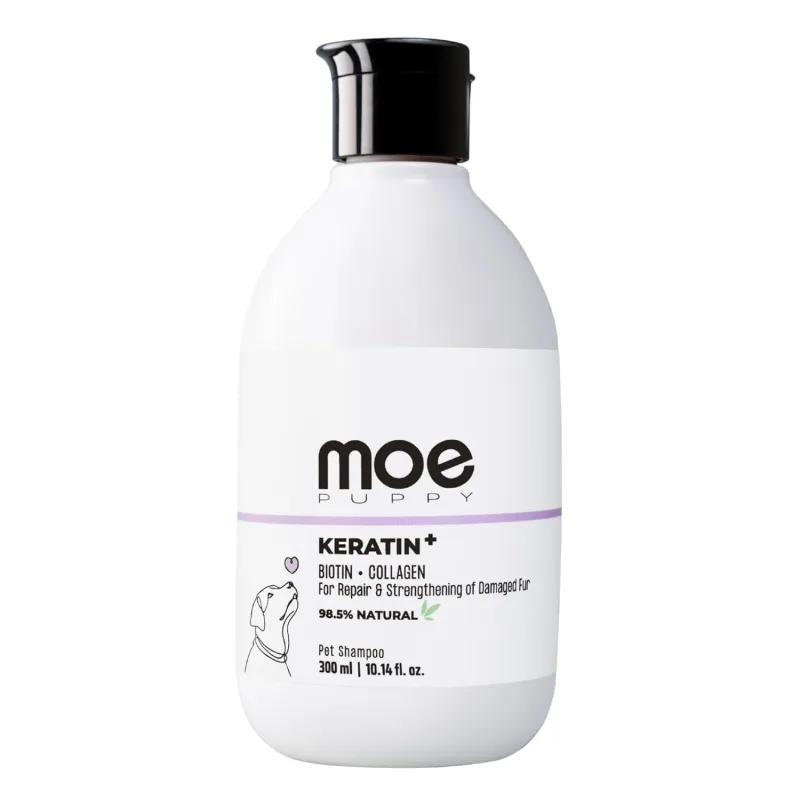 best dog shampoo