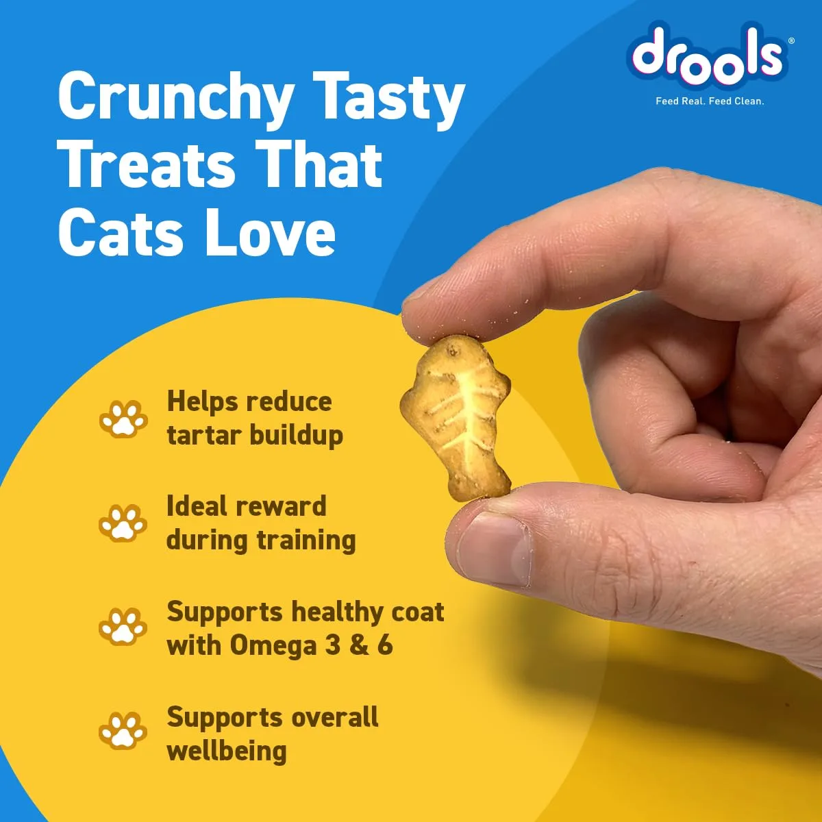 In-Depth Review: best cat treats - Drools All Life Stages Cat Biscuit 110g Jar | Chicken Flavour | Dental Health | Lustrous Shiny Coat | Vitamins  5 best cat treats view 3