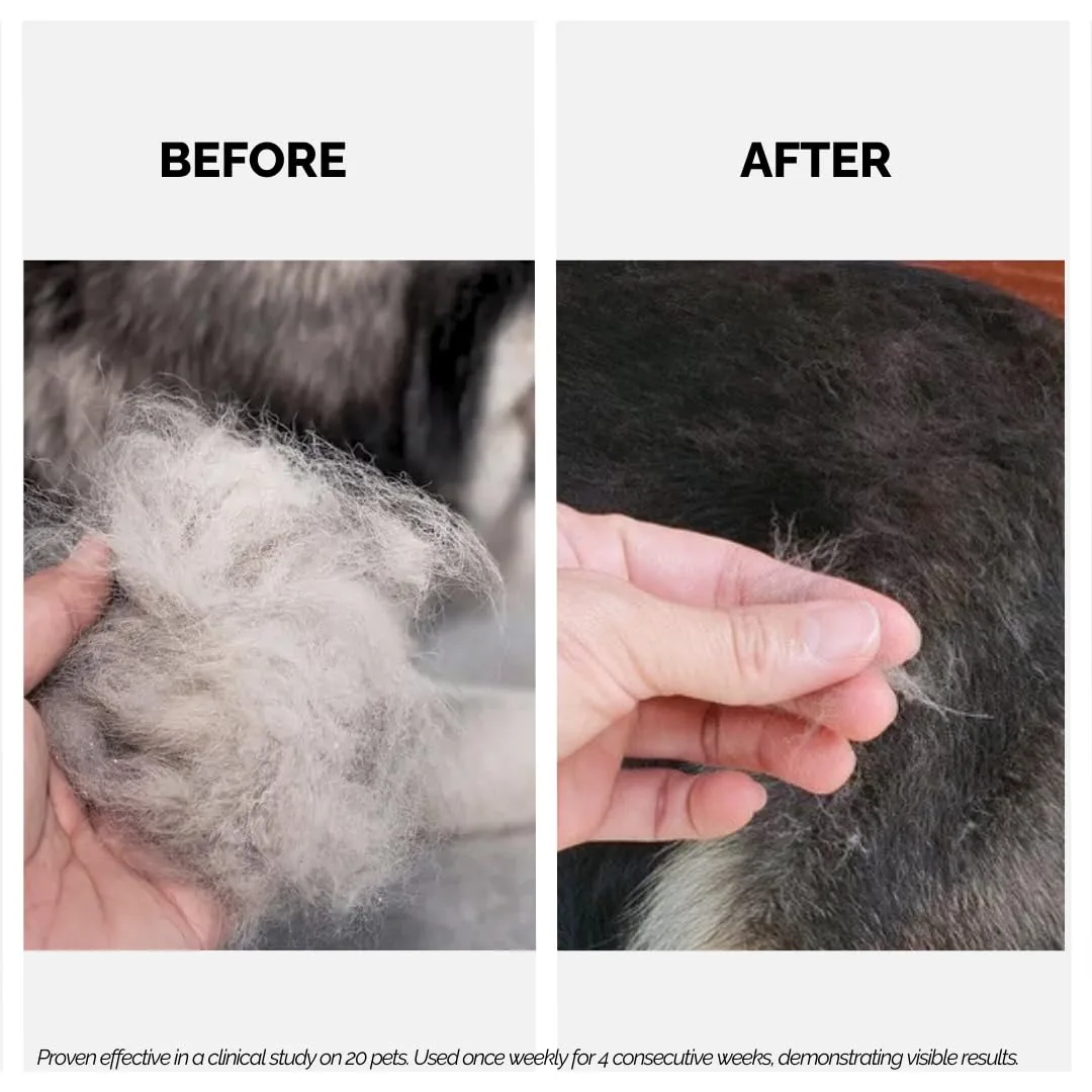In-Depth Review: best dog shampoo - Moe Puppy's Keratin+ Protein Shampoo for Dogs & Cats, Shed Control, Repair & Strengthen Damaged Fur, Long Lasting 5 Moe Puppy's Keratin+ Pr - view 4
