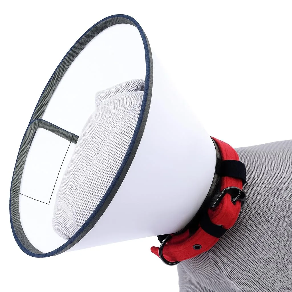In-Depth Review: best dog cone collar - Berlin's Soft Protective Pet Recovery Collar Comfortable Dog and Cat Cone Alternative Lightweight Adjustable E 5 Berlin's Soft Protective Pet - view 4