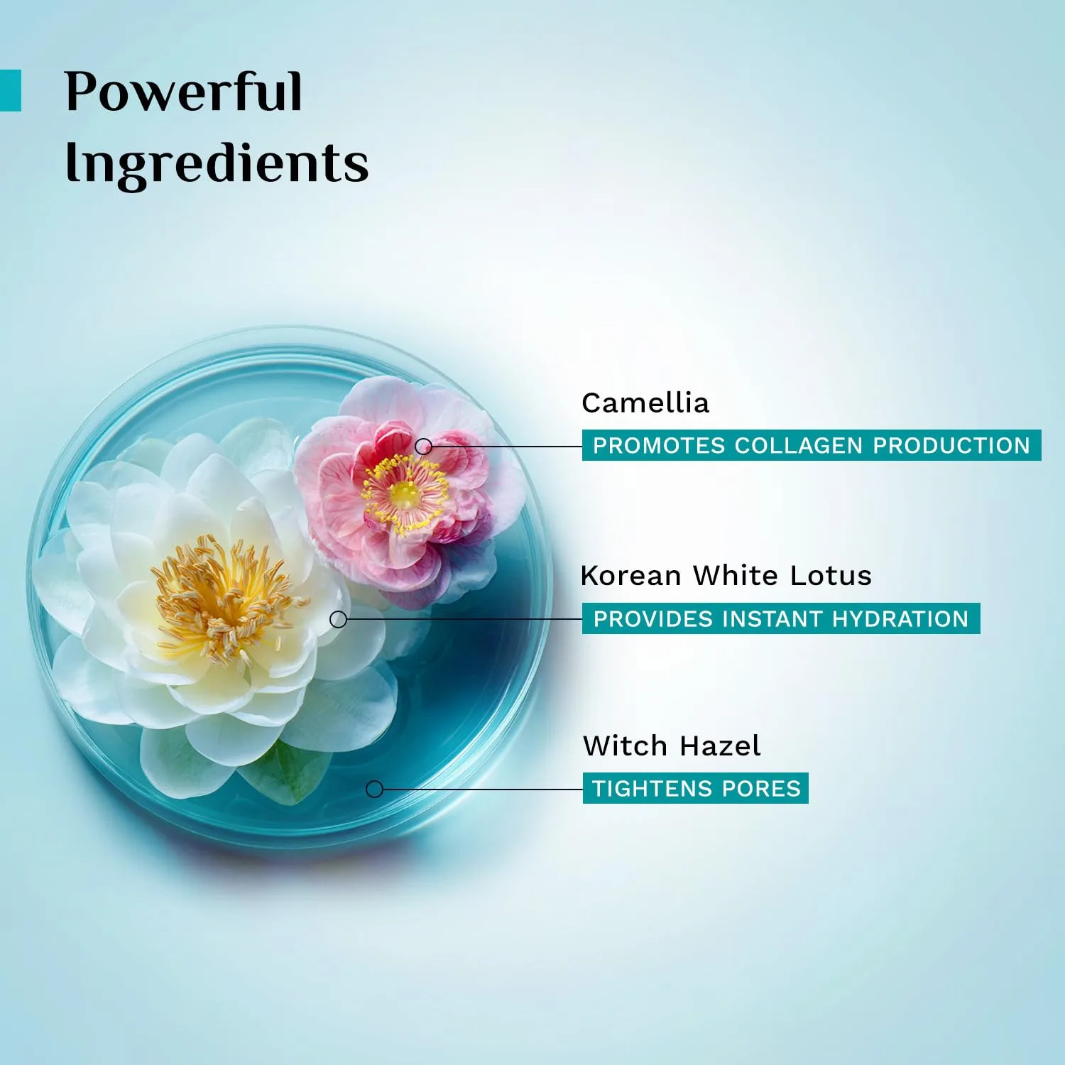 Pilgrim Korean Beauty White - view 4