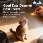 Drools All Life Stages Cat - view 5