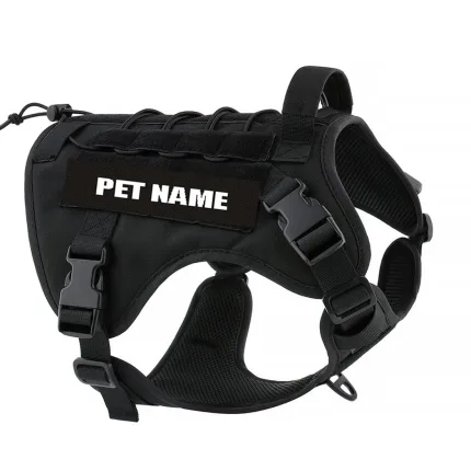 best dog harness