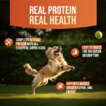 Dog Treats for Adult & - view 4