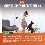 Dog Treats for Adult & - view 7