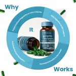 ZEROHARM Gut Army Prebiotics - view 4