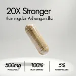 Kapiva KSM-66 Ashwagandha - view 2