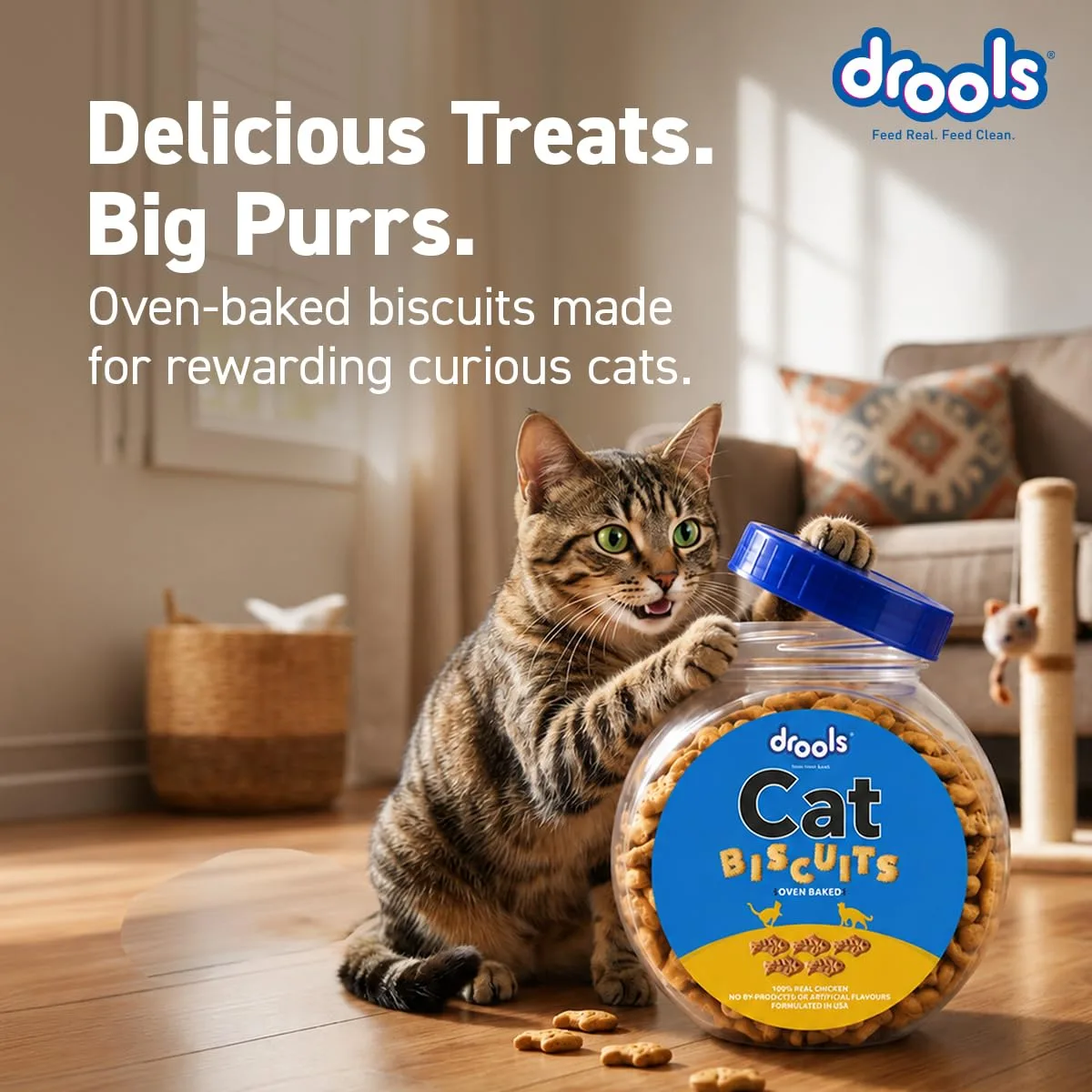 In-Depth Review: best cat treats - Drools All Life Stages Cat Biscuit 110g Jar | Chicken Flavour | Dental Health | Lustrous Shiny Coat | Vitamins  2 Drools All Life Stages Cat Biscuit 110g Jar | Chicken Flavour | Dental Health | Lustrous Shiny Coat | Vitamins & Minerals | | best cat treats