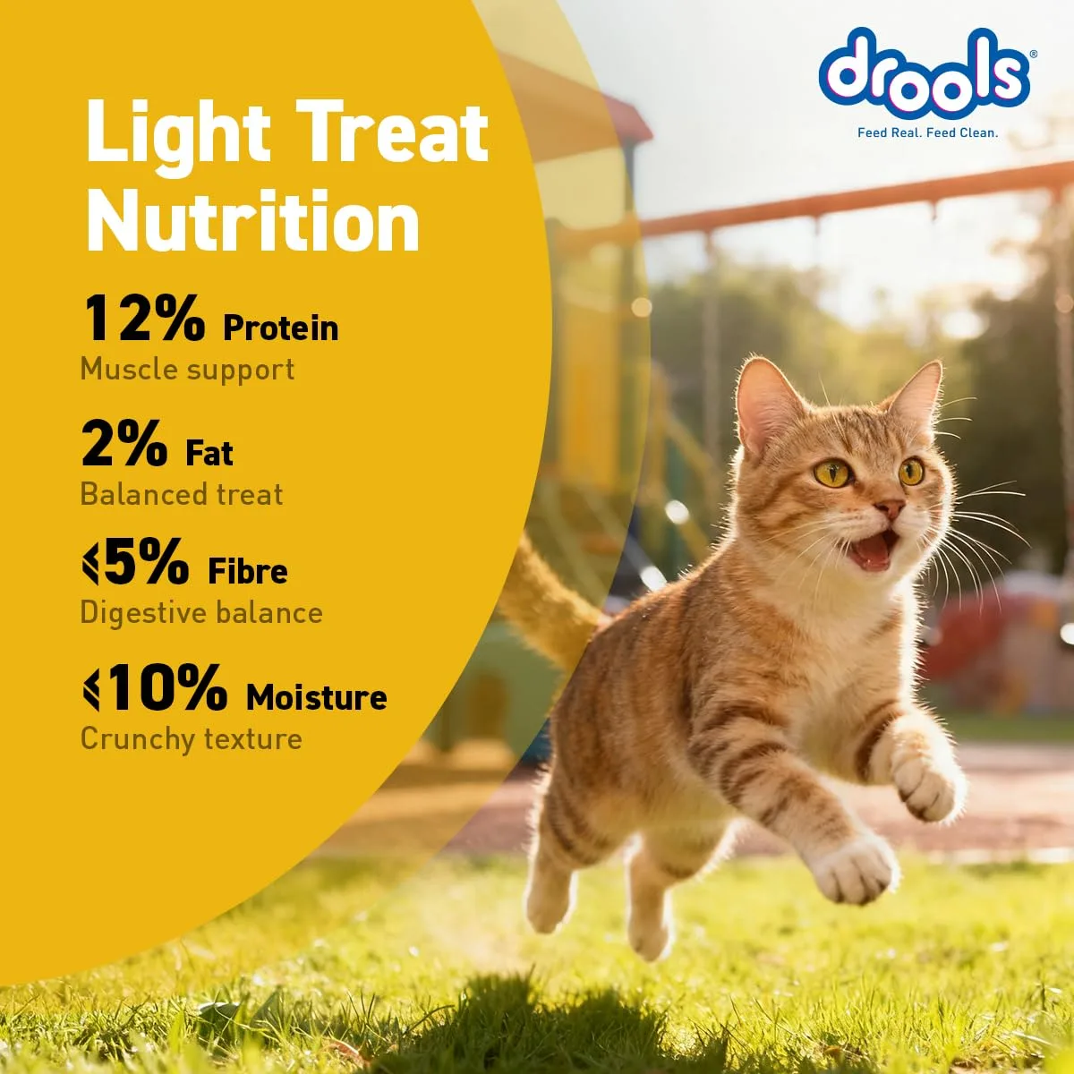 In-Depth Review: best cat treats - Drools All Life Stages Cat Biscuit 110g Jar | Chicken Flavour | Dental Health | Lustrous Shiny Coat | Vitamins  4 best cat treats view 2