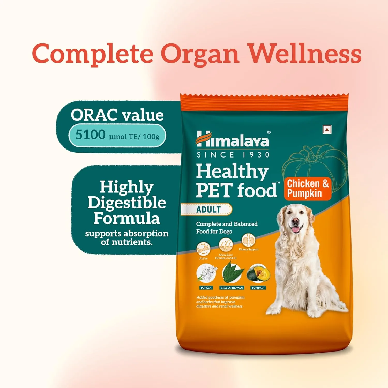 In-Depth Review: best dog food india - Himalaya Healthy PET Food for Adult Dogs | Chicken & Pumpkin | 1.2kg | Complete & Balanced Nutrition with Mount 7 Himalaya Healthy PET Food fo - view 6