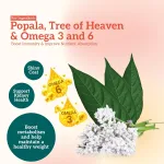 Himalaya Healthy PET Food fo - view 8