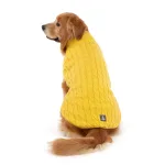 best dog sweater