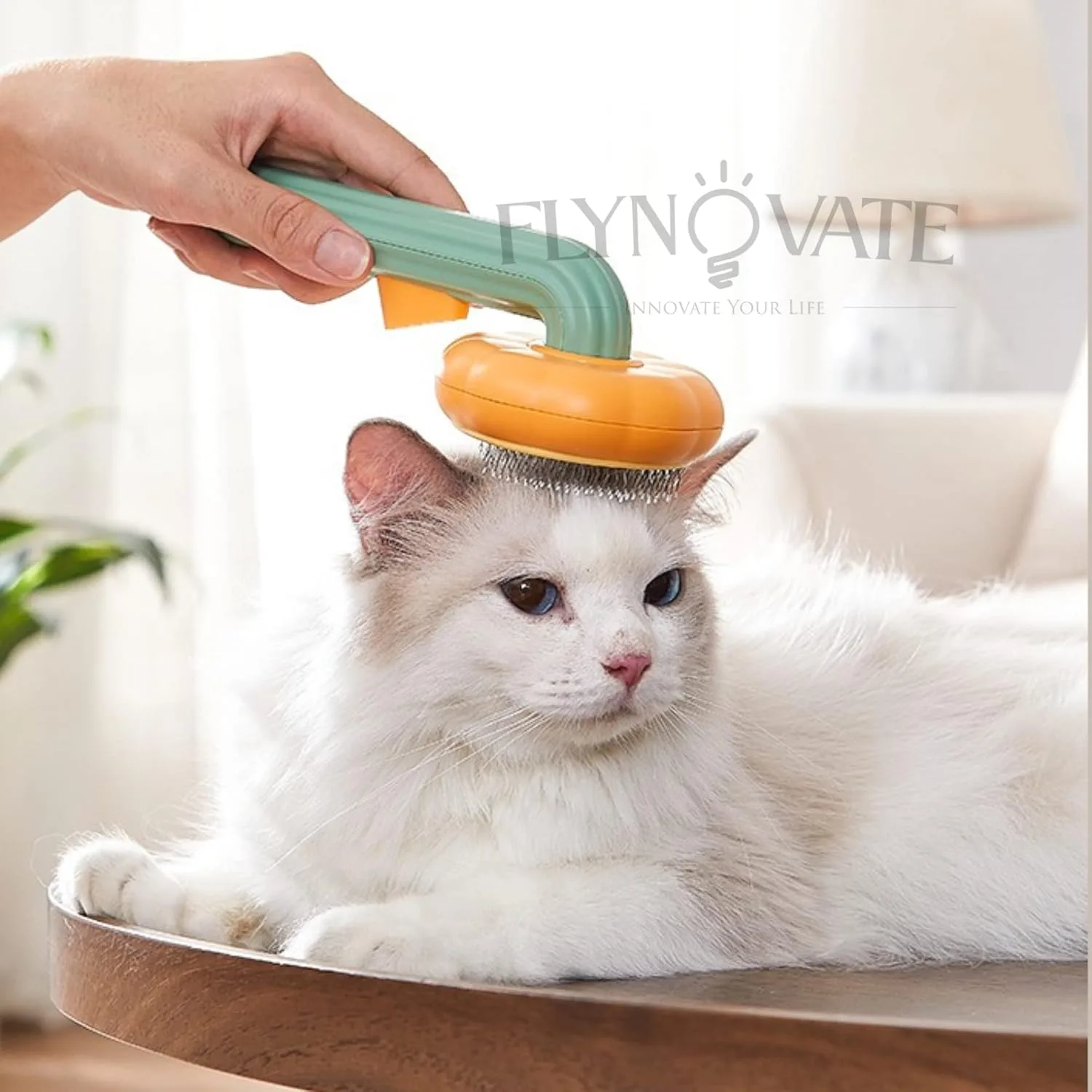 In-Depth Review: best pet grooming kit india - Flynovate Self Cleaning Dog Comb & Cat Comb - Pet Hair Remover Grooming Comb with Switch & PAIN - FREE 10 Flynovate Self Cleaning Dog C - view 9