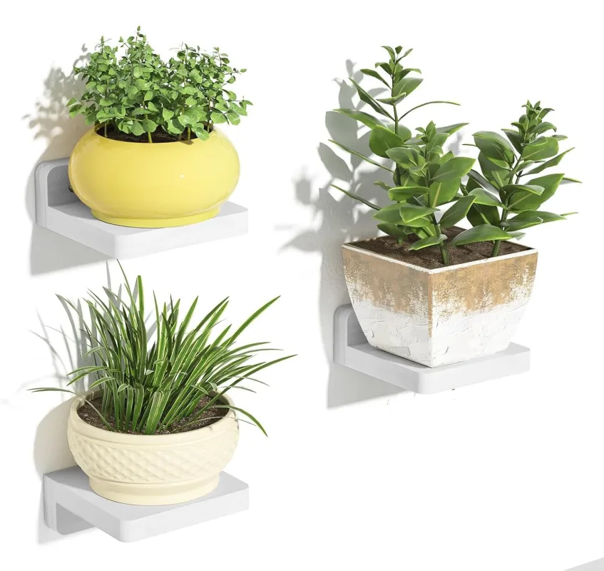 best wall shelf floating