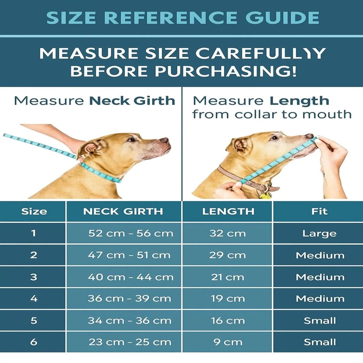 In-Depth Review: best dog cone collar - Berlin's Soft Protective Pet Recovery Collar Comfortable Dog and Cat Cone Alternative Lightweight Adjustable E 3 Berlin's Soft Protective Pet - view 2