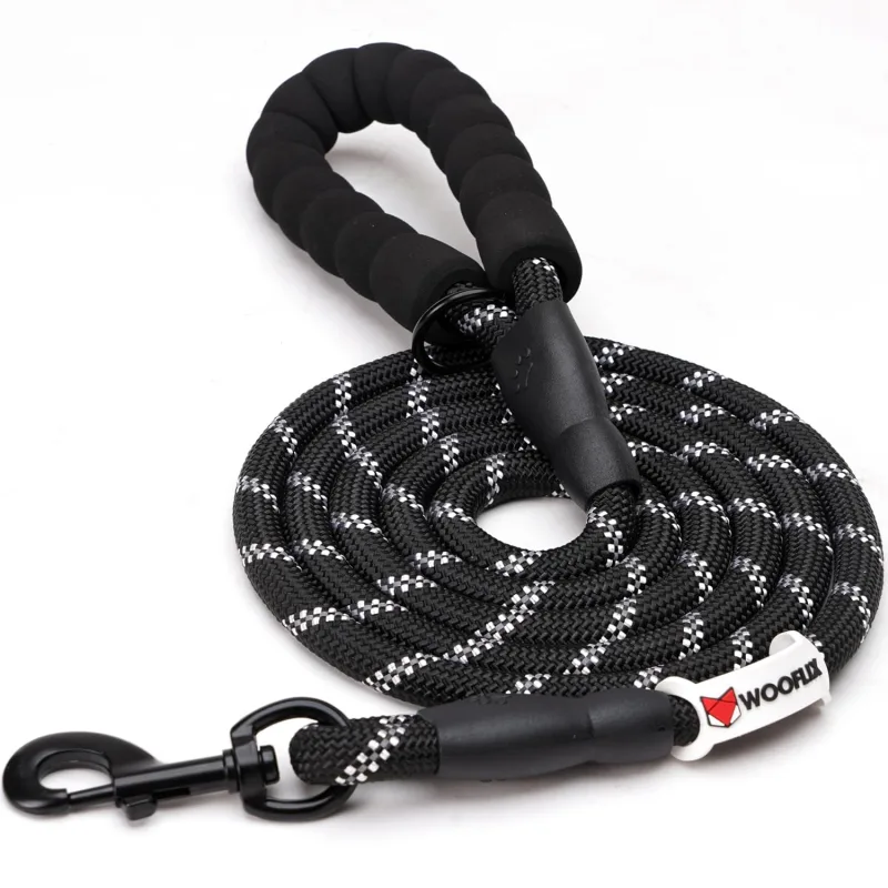 best dog leash and collar