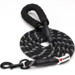 best dog leash and collar