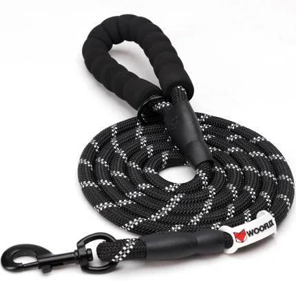 best dog leash and collar
