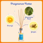Phool Orange & Ginge - view 5