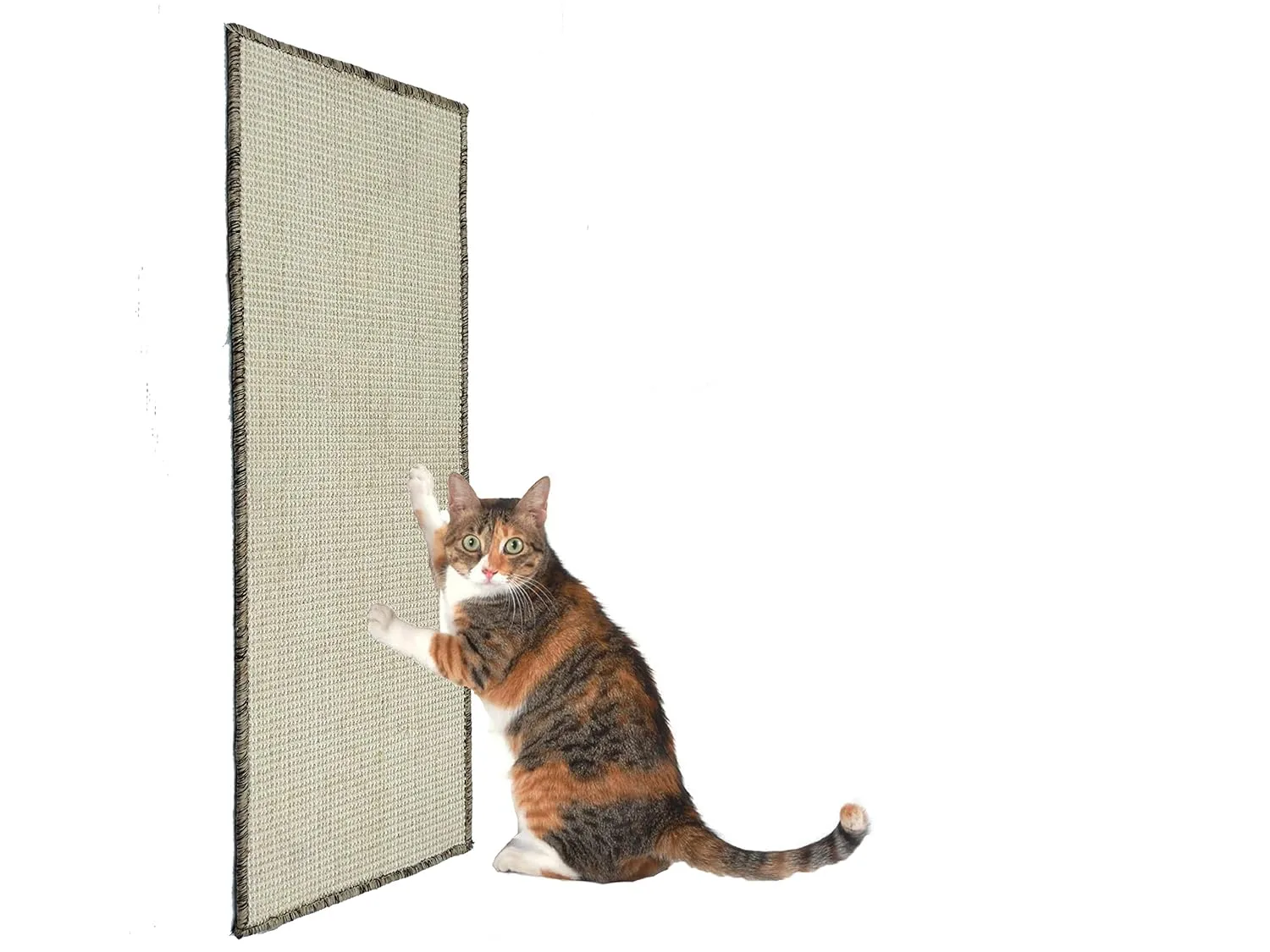 In-Depth Review: best cat scratching post - MATS AVENUE DOOR MATS AT YOUR DOOR STEP Multi Use Cat Scratch Pad/Cat Scratch Mat Made Of Sisal Yarn Large 5 MATS AVENUE DOOR AT YOU - view 4