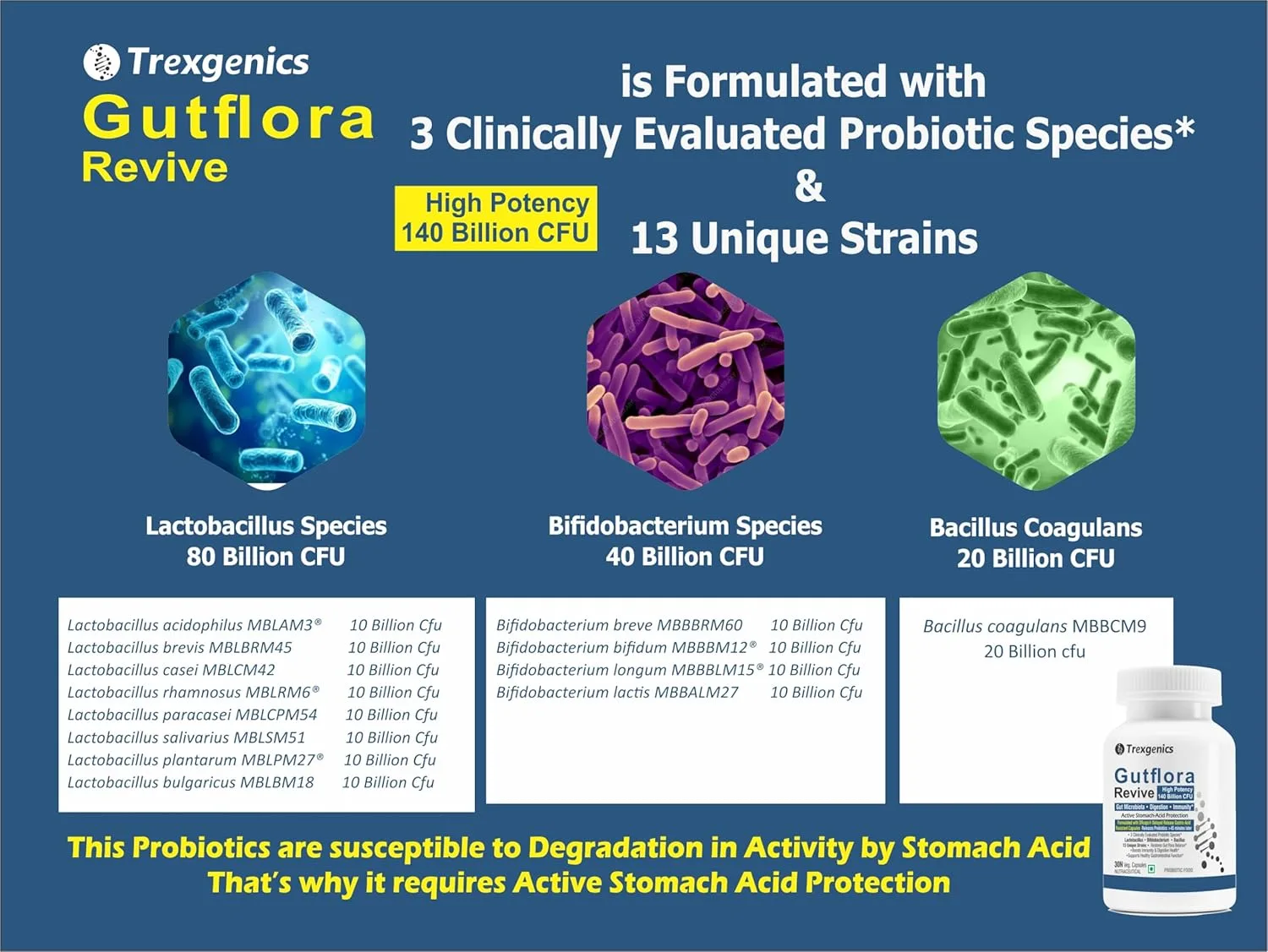 Trexgenics GUTFLORA-REVIVE Pro - view 4