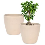 best planter pots decorative