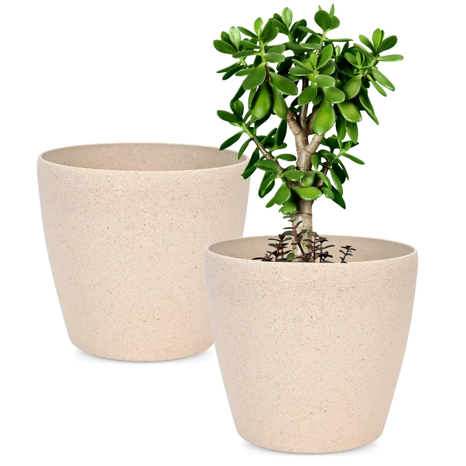 best planter pots decorative