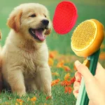 Flynovate Self Cleaning Dog C - view 2