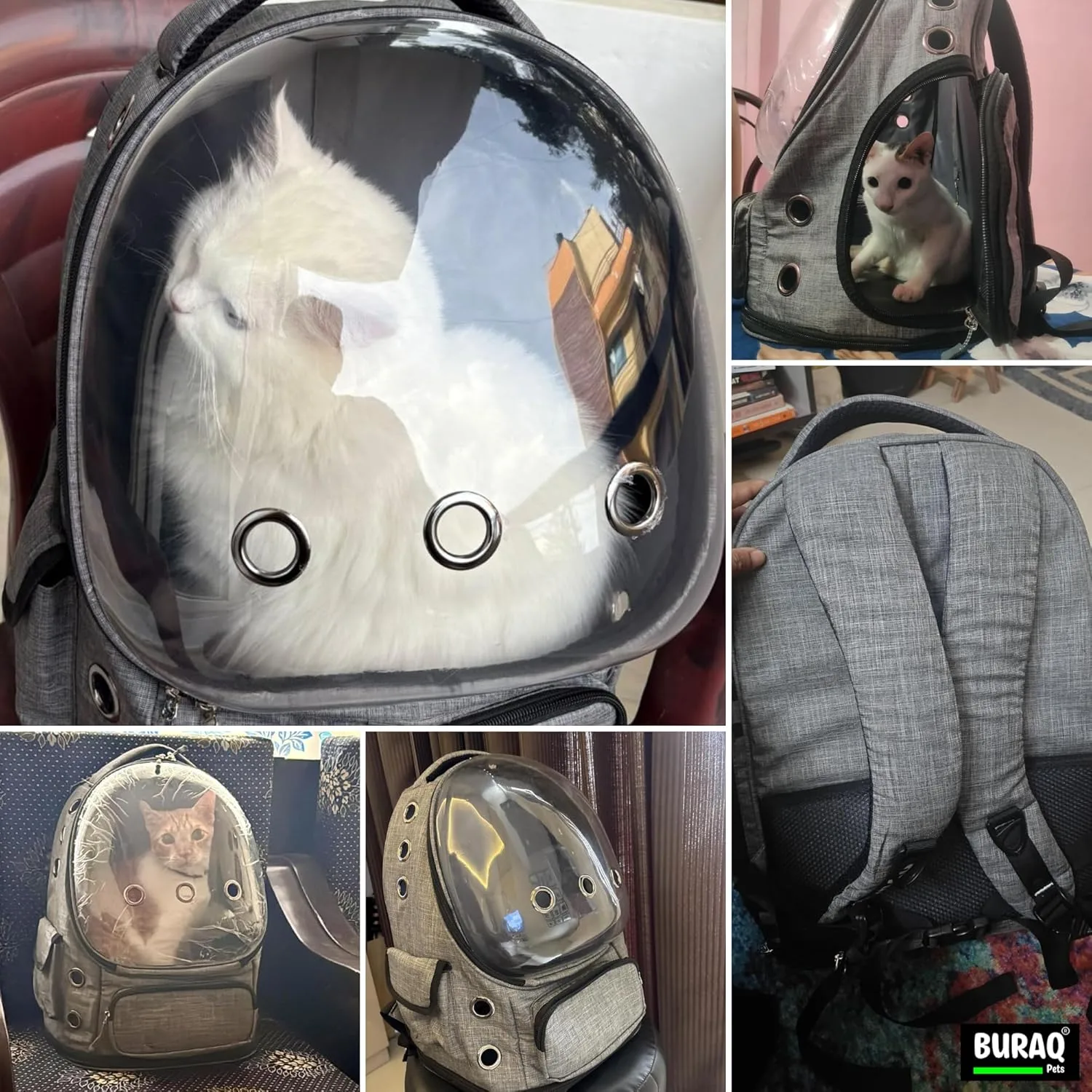In-Depth Review: best cat carrier backpack - Buraq XL Astronaut Bubble Cat Backpack Carrier for Travel & Outdoor Use | | best cat carrier backpac 7 Buraq XL Astronaut Bubble - view 6