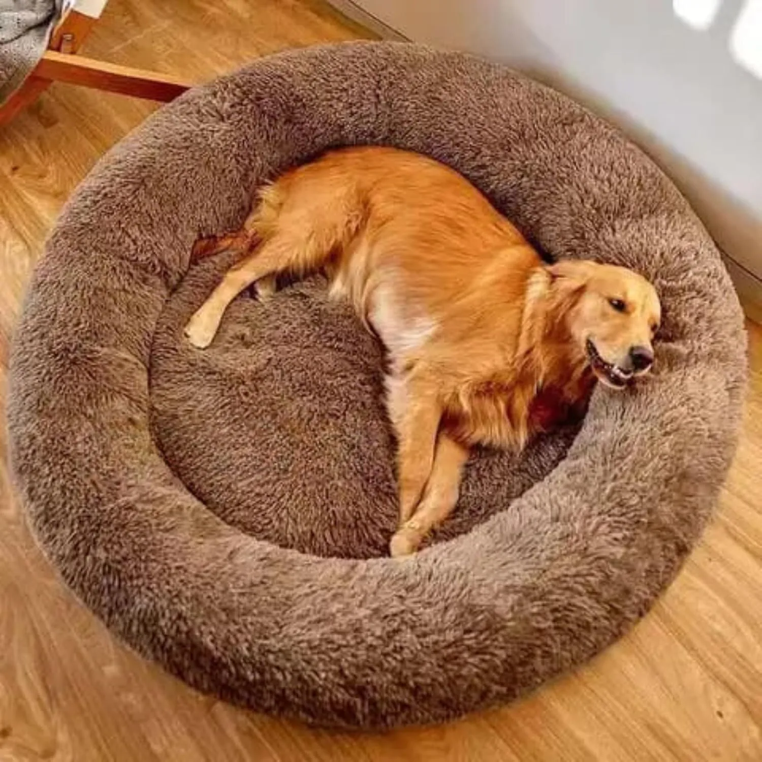 best cat bed soft