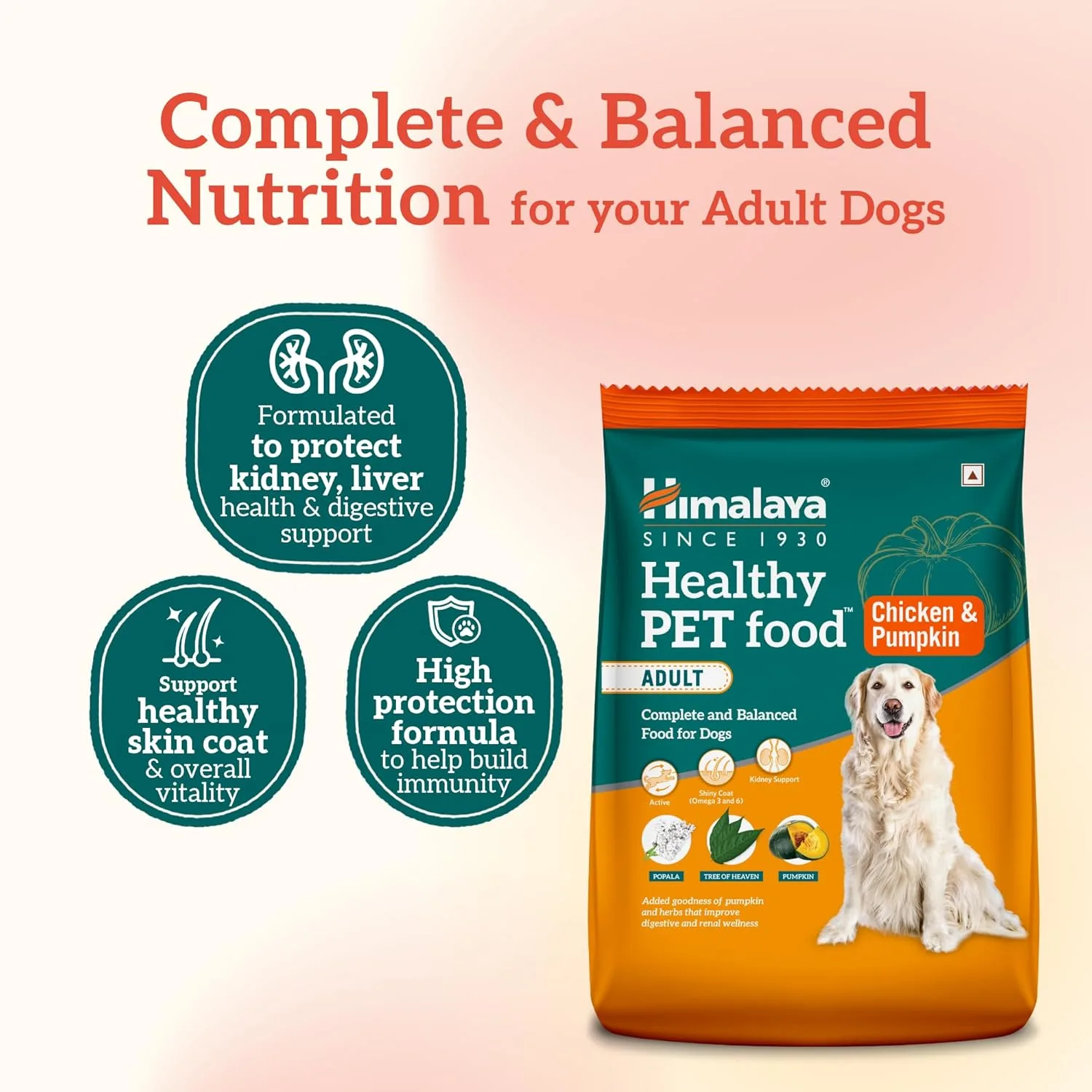 In-Depth Review: best dog food india - Himalaya Healthy PET Food for Adult Dogs | Chicken & Pumpkin | 1.2kg | Complete & Balanced Nutrition with Mount 4 Himalaya Healthy PET Food fo - view 3