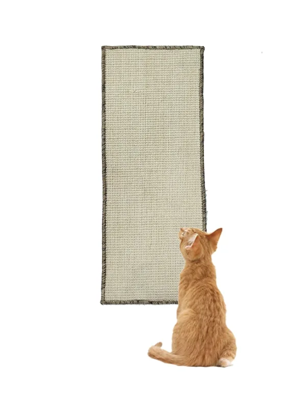 best cat scratching post
