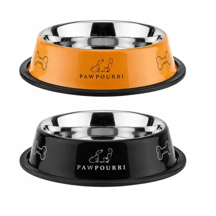 best dog bowl elevated