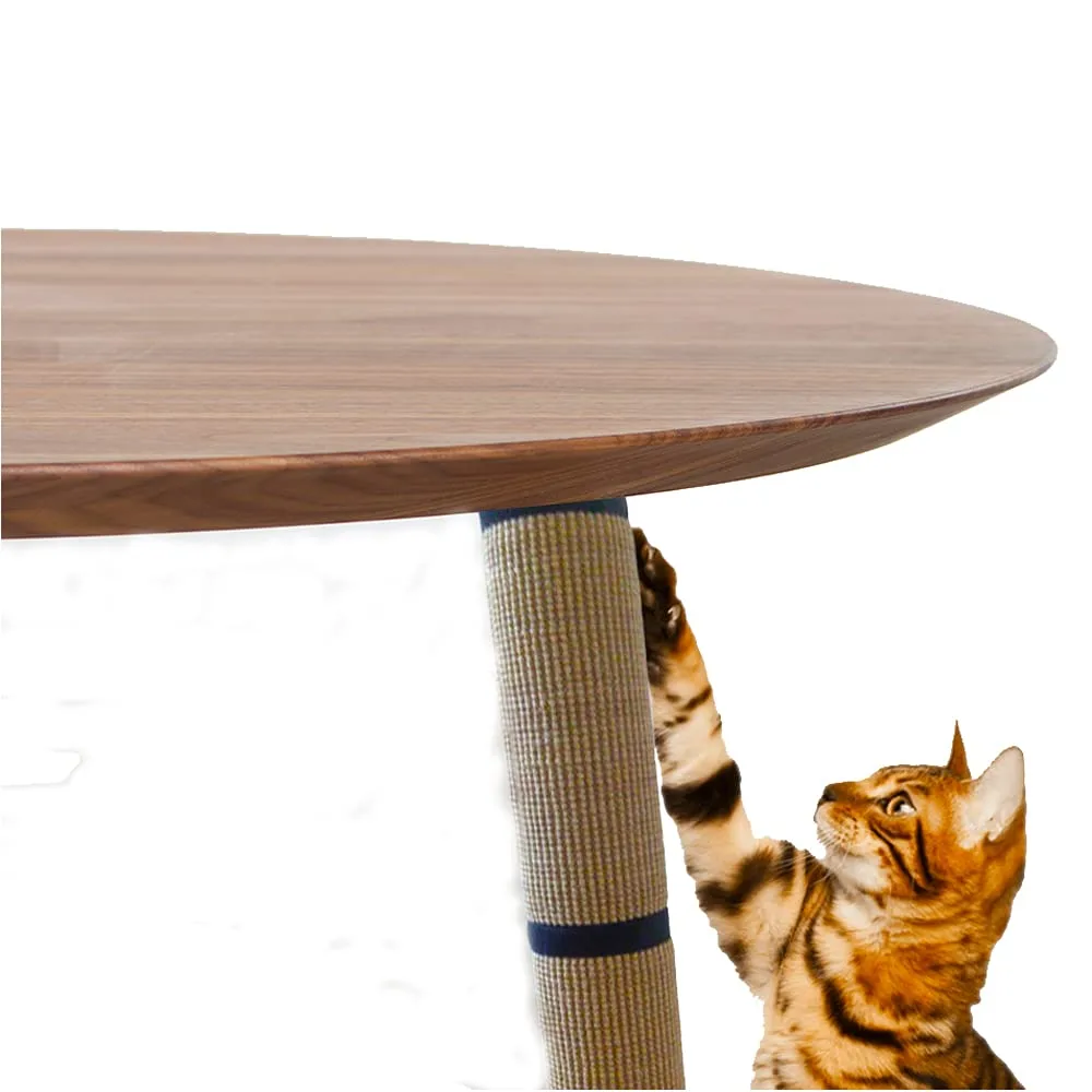 best cat scratching post