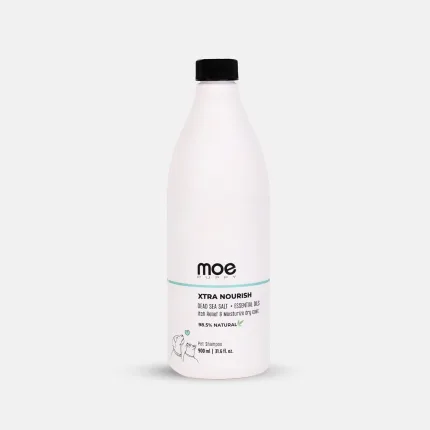 best dog shampoo