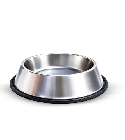 best automatic pet feeder