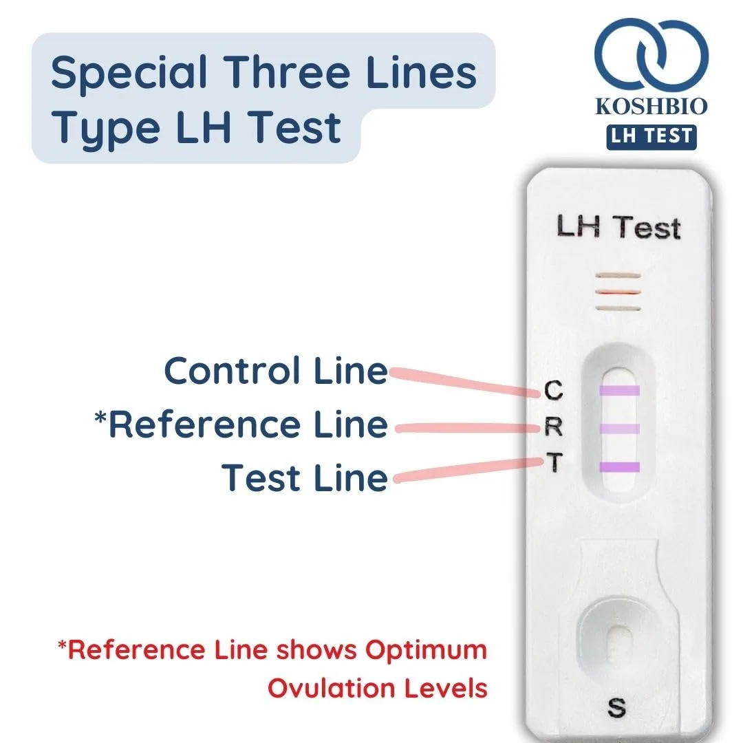 In-Depth Review: best ovulation test kit - Koshbio Ovulation Test Kit LH Rapidtest for women to check fertile days (PACK OF 5) | | best ovulation test 4 Koshbio Ovulation Test Kit - view 3