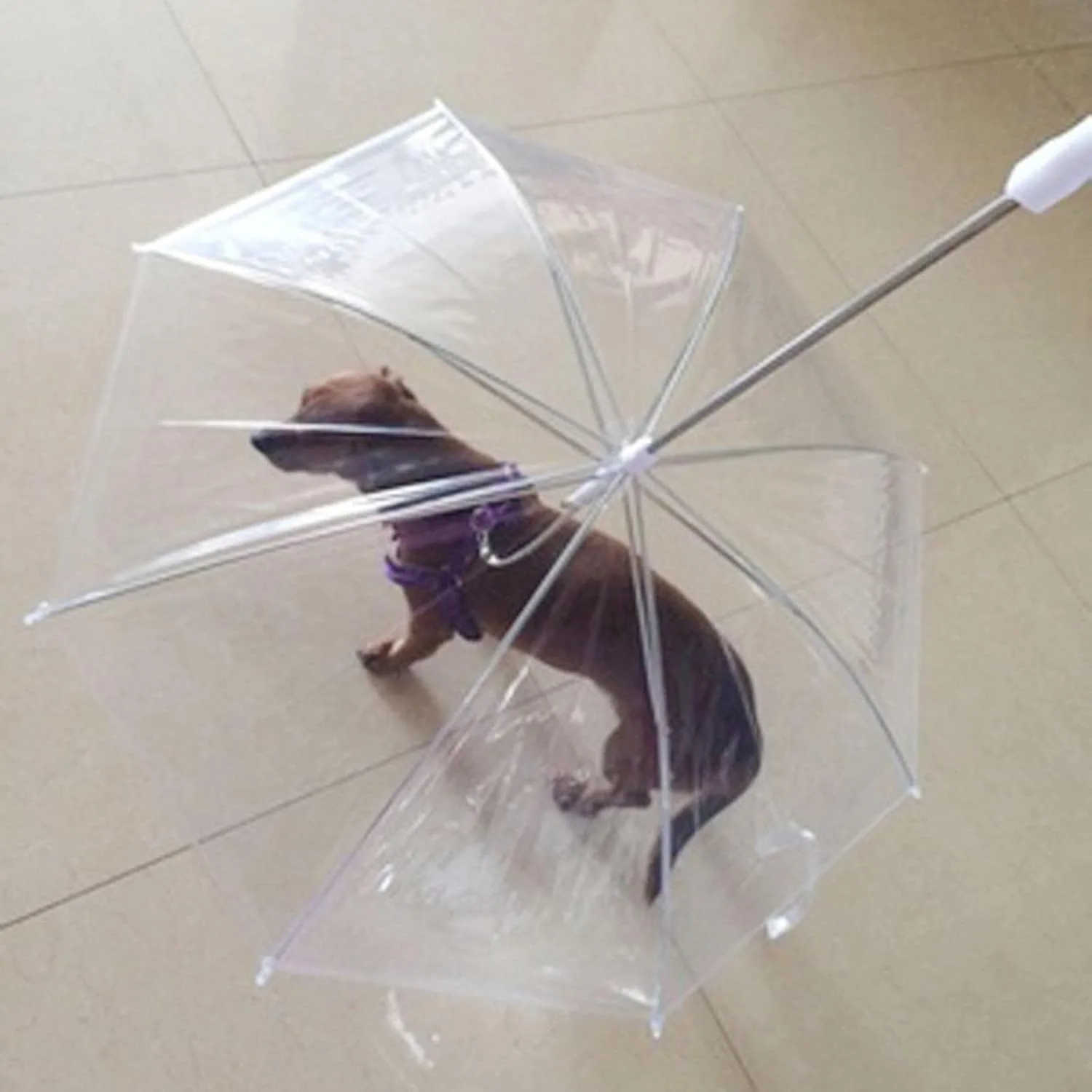 Creations Pet Umbrella with L - view 2