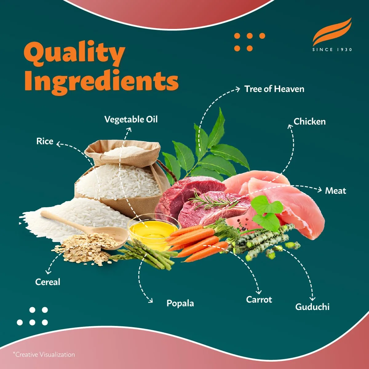 In-Depth Review: best dog food india - Himalaya Healthy PET Food for Adult Dogs | Meat & Rice | 1.2kg | Complete & Balanced Nutrition with Mountain Kn 6 Himalaya Healthy PET Food fo - view 5