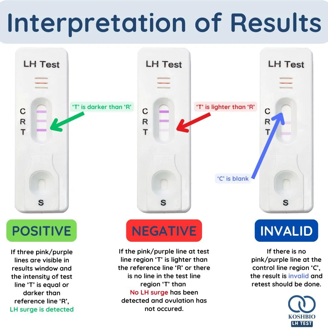In-Depth Review: best ovulation test kit - Koshbio Ovulation Test Kit LH Rapidtest for women to check fertile days (PACK OF 5) | | best ovulation test 9 Koshbio Ovulation Test Kit - view 8