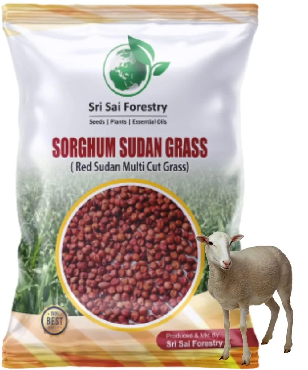 best sabai grass items