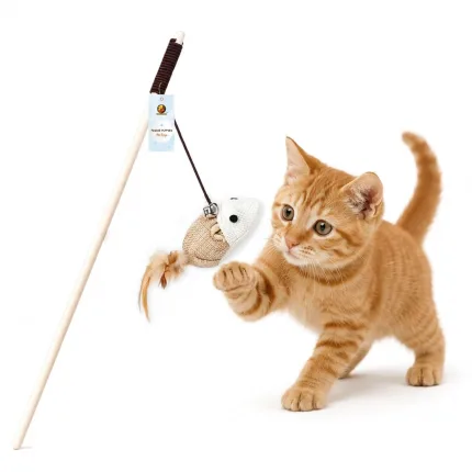 best cat wand toy